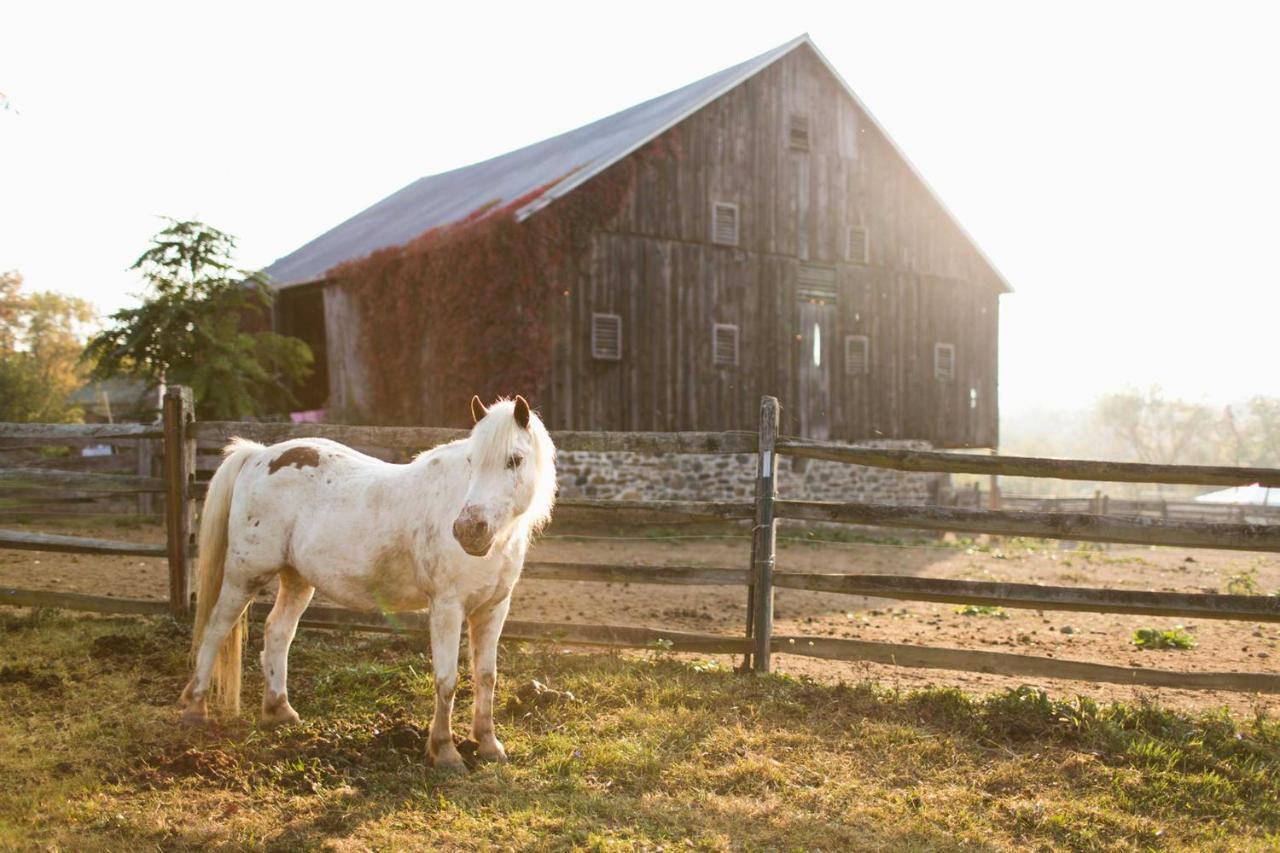 Gettysburg Battlefield Bed & Breakfast Inn Luaran gambar